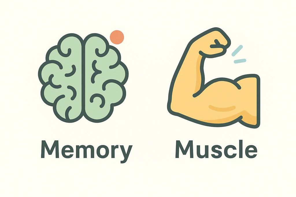 An illustration showing a green brain icon with the word 'Memory' below it, and a yellow flexing arm muscle icon with the word 'Muscle' below it, representing choline's benefits for memory and muscle control.