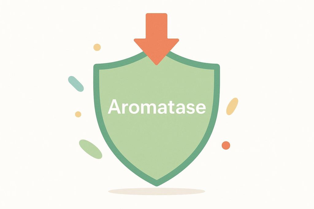 A stylized diagram showing a green shield with the word 'Aromatase' written on it, being protected from an orange downward-pointing arrow. Various small, colored shapes are scattered in the background.