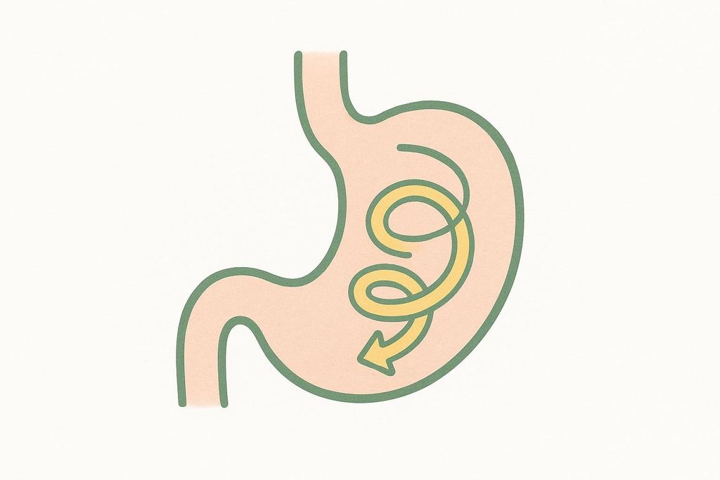 Illustration of a stomach with a coiled, slow-moving arrow inside it, representing how medication like Ozempic suppresses appetite by slowing digestion.