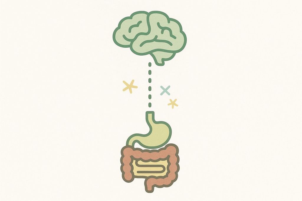 A simplified illustration depicting the gut-brain axis, with a brain icon at the top connected by a dashed line to stomach and intestine icons below, symbolizing their communication, with small stars and an 'x' indicating activity or interaction.