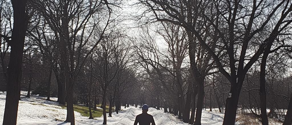 A person walks away from the camera on a snow-covered path lined with tall, bare trees. The sun is bright in the sky.