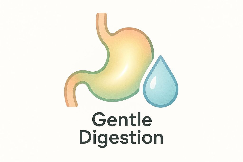 An illustration showing a stomach next to a water droplet, with the text "Gentle Digestion" below. The stomach is colored with a yellow-green gradient and the droplet is light blue.