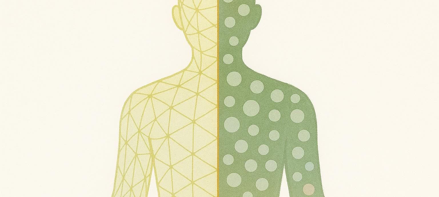 A stylized human silhouette split vertically. The left half shows a yellow geometric mesh pattern representing surface mapping, while the right half is green with various sized white and light green polka dots, representing internal density or data points within the body.