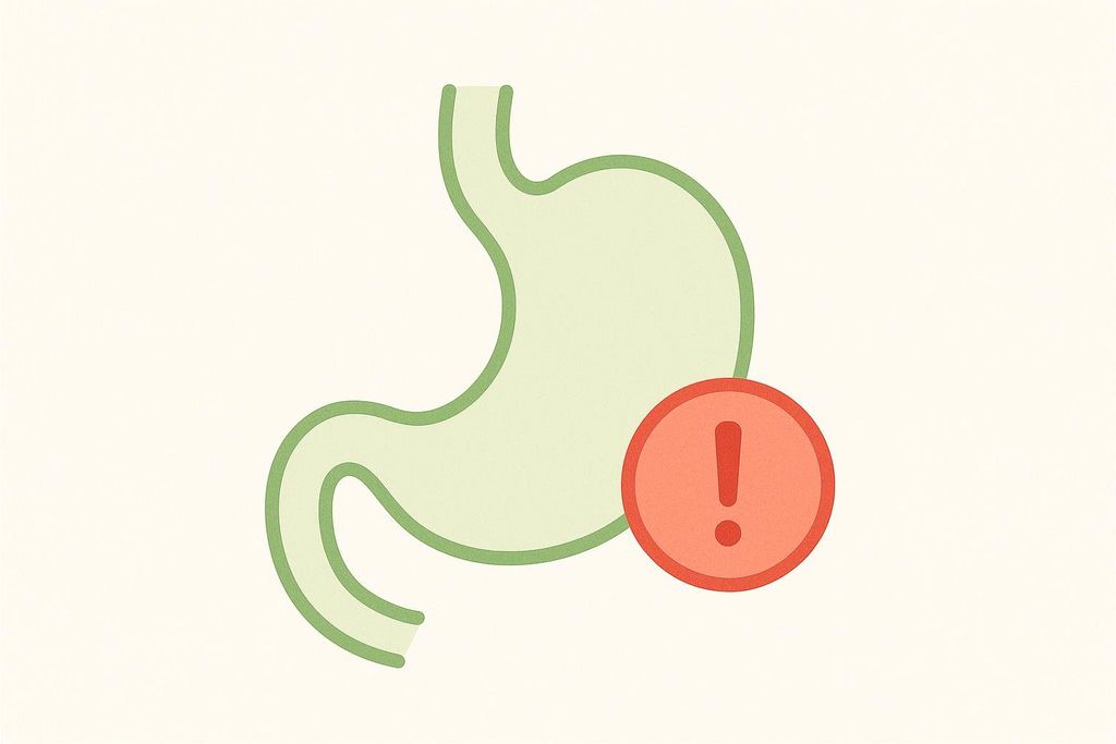 A stylized green icon of a human stomach with a red circle containing an exclamation mark overlaid on its lower right side, indicating a problem or warning related to stomach health or digestion.