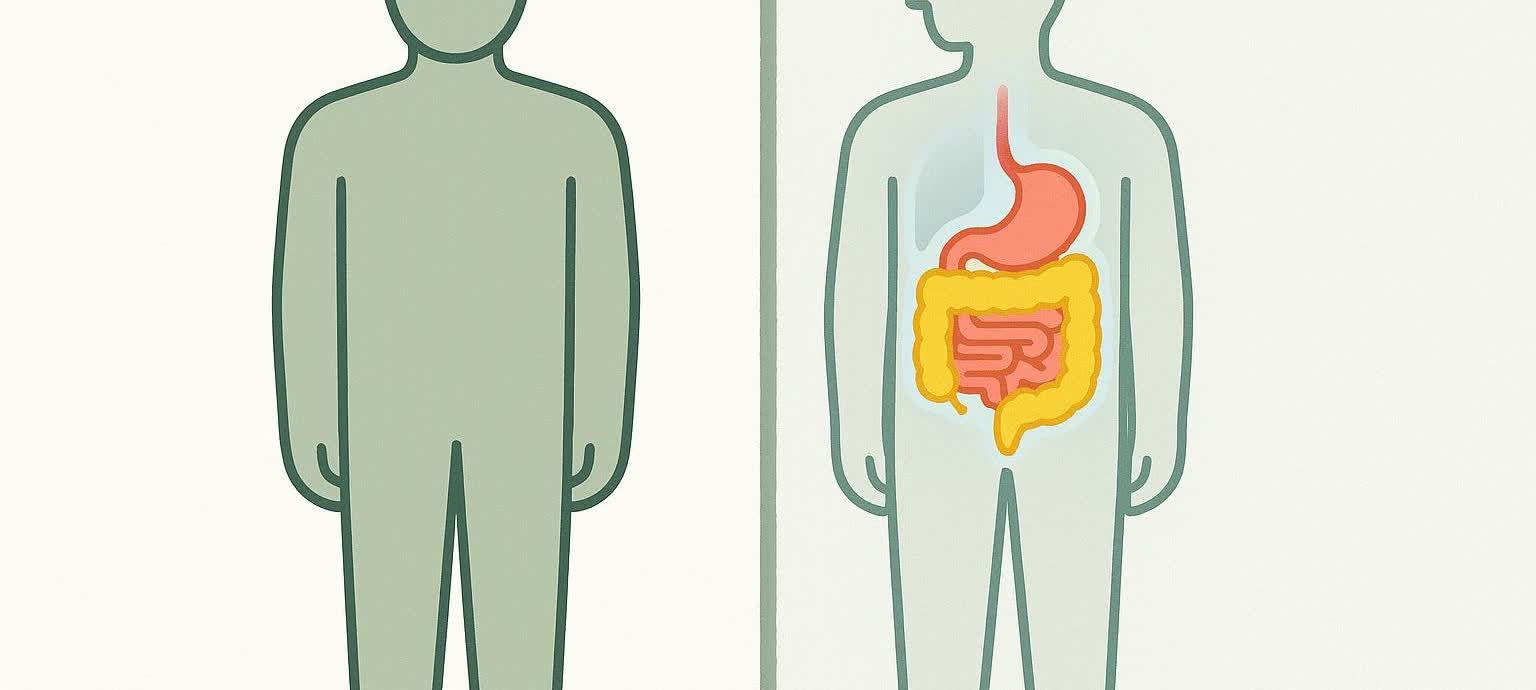 Illustration contrasting an opaque human figure with a transparent one revealing internal visceral fat, emphasizing what simple observation misses.