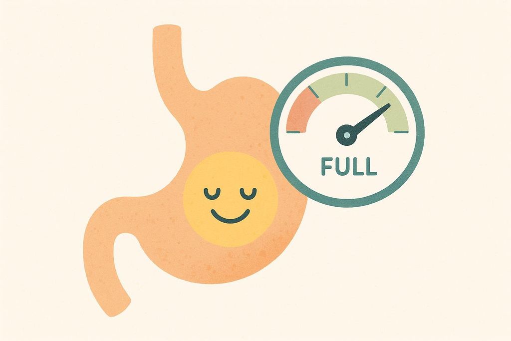 An illustration of a light orange human stomach with a happy yellow face. Adjacent to the stomach is a circular gauge with an arrow pointing to the 'FULL' setting, indicating satiety.