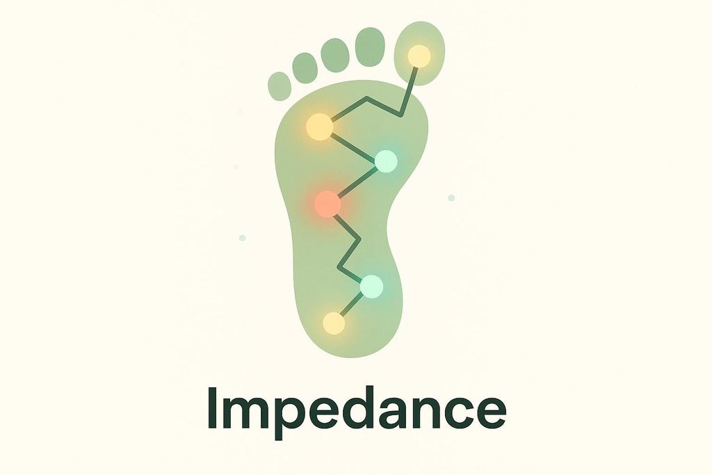 An illustration showing a human foot outline in green, with colorful glowing dots connected by a zig-zag line, representing electrical impedance mapping. The word "Impedance" is written below.