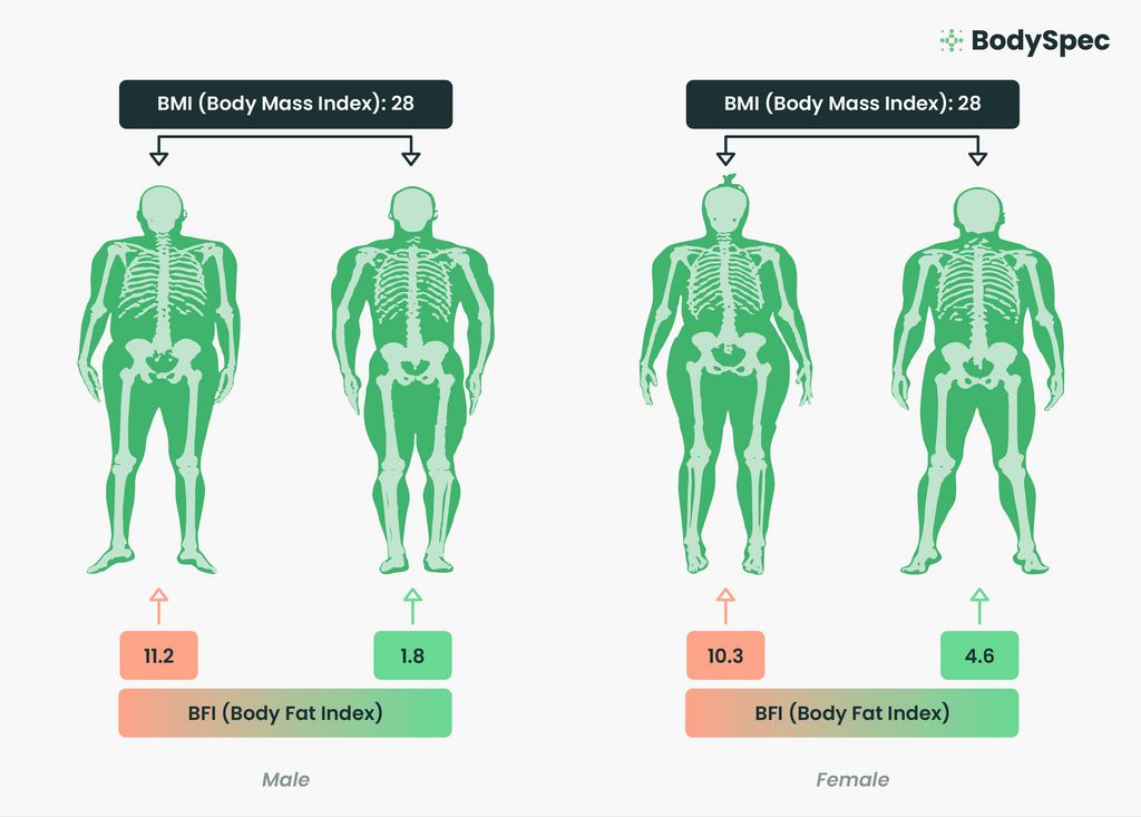 Illustration comparing BMI and BFI for a male and female with the same BMI, showing how BFI provides a more detailed view of body composition.