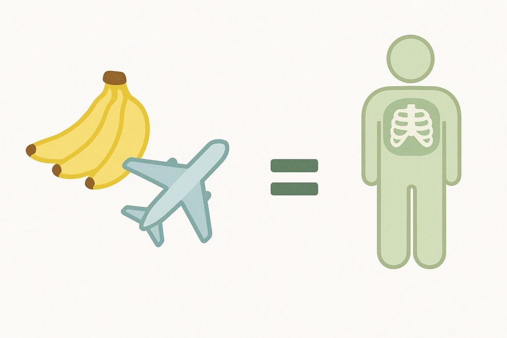 Visual comparison illustrating that the amount of radiation from a DEXA scan is equivalent to the radiation from eating four bananas or taking a cross-country flight.