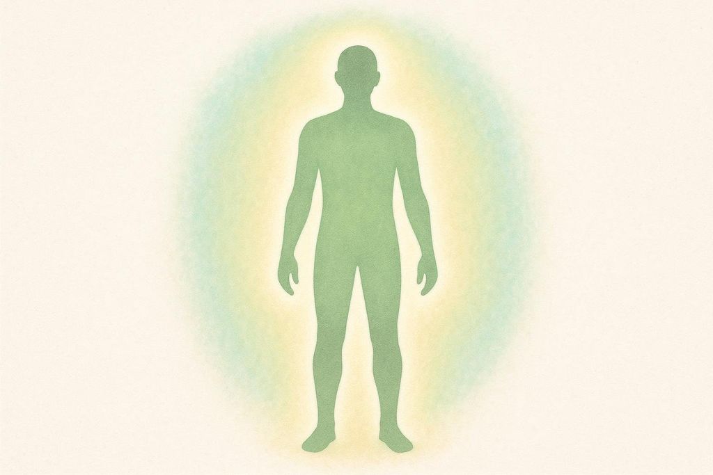 Illustration of a full body silhouette showing that fat loss happens systemically, not in one spot.