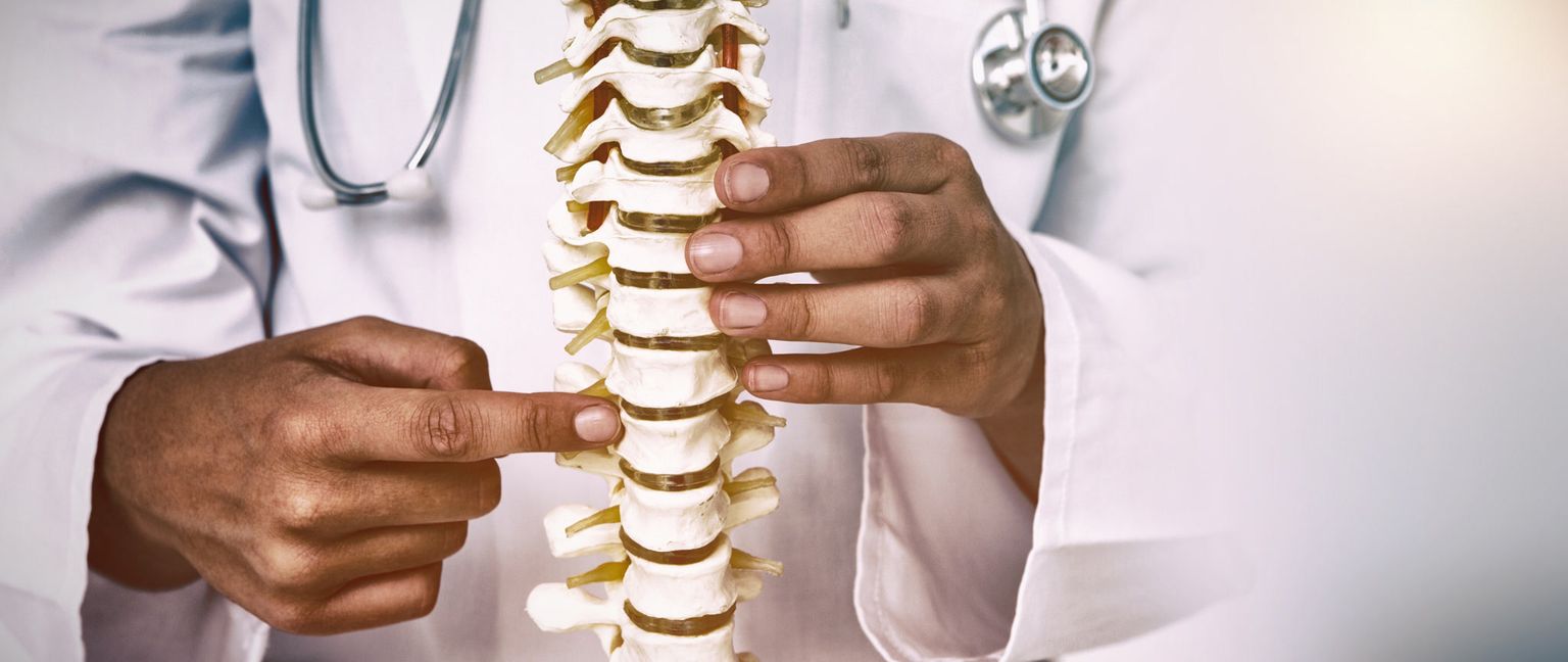 A doctor in a white coat points to a section of a spine model while holding it with the other hand. A stethoscope is draped around the doctor's neck.