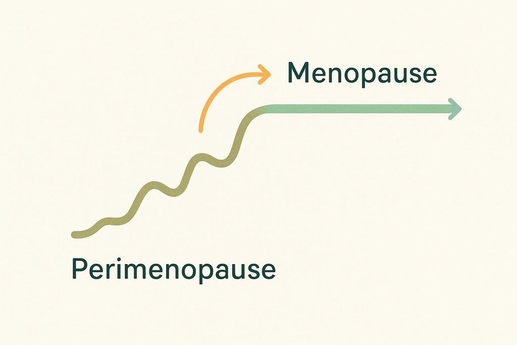 A diagram illustrating perimenopause as a bumpy green line that transitions into menopause, represented by a flat green line. An orange arrow curves above the transition, also pointing towards menopause.
