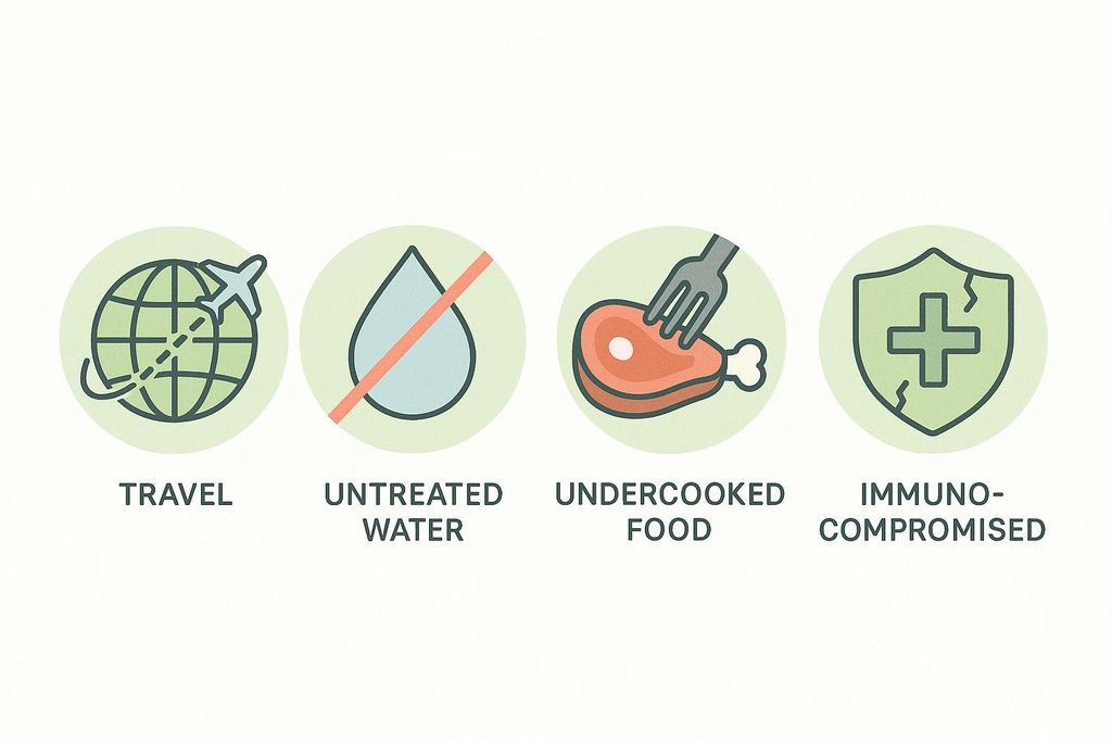 A series of simple icons illustrating risk factors for parasitic infections: a plane flying around a globe for 'TRAVEL', a crossed-out water droplet for 'UNTREATED WATER', a fork over a piece of meat for 'UNDERCOOKED FOOD', and a shield with a medical cross for 'IMMUNOCOMPROMISED'.