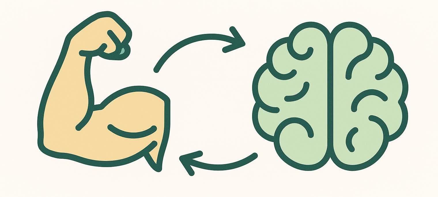 An illustration showing a bicep icon on the left and a brain icon on the right, with two curved arrows indicating a two-way connection or relationship between them.