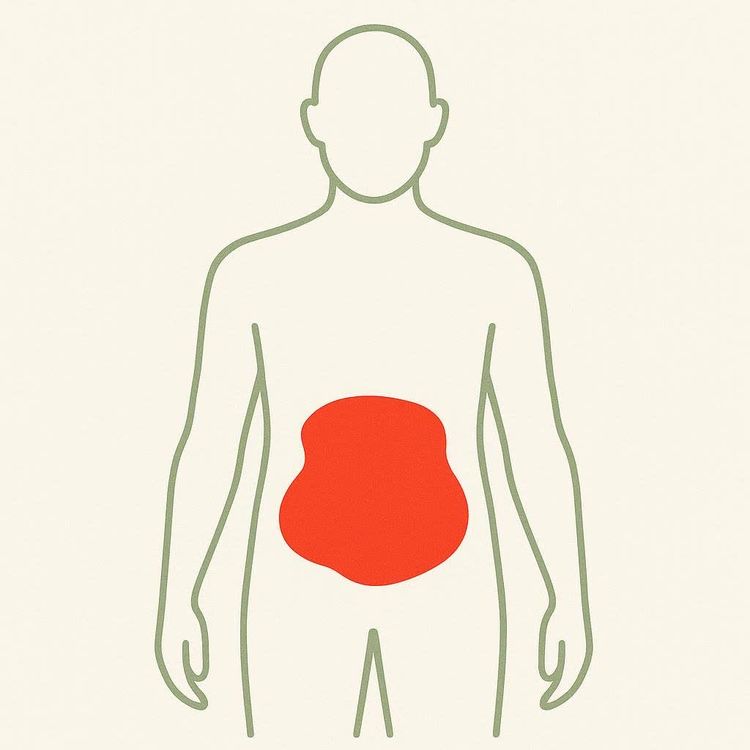 A simple outline of a human body with a large red blob in the abdomen representing visceral fat.