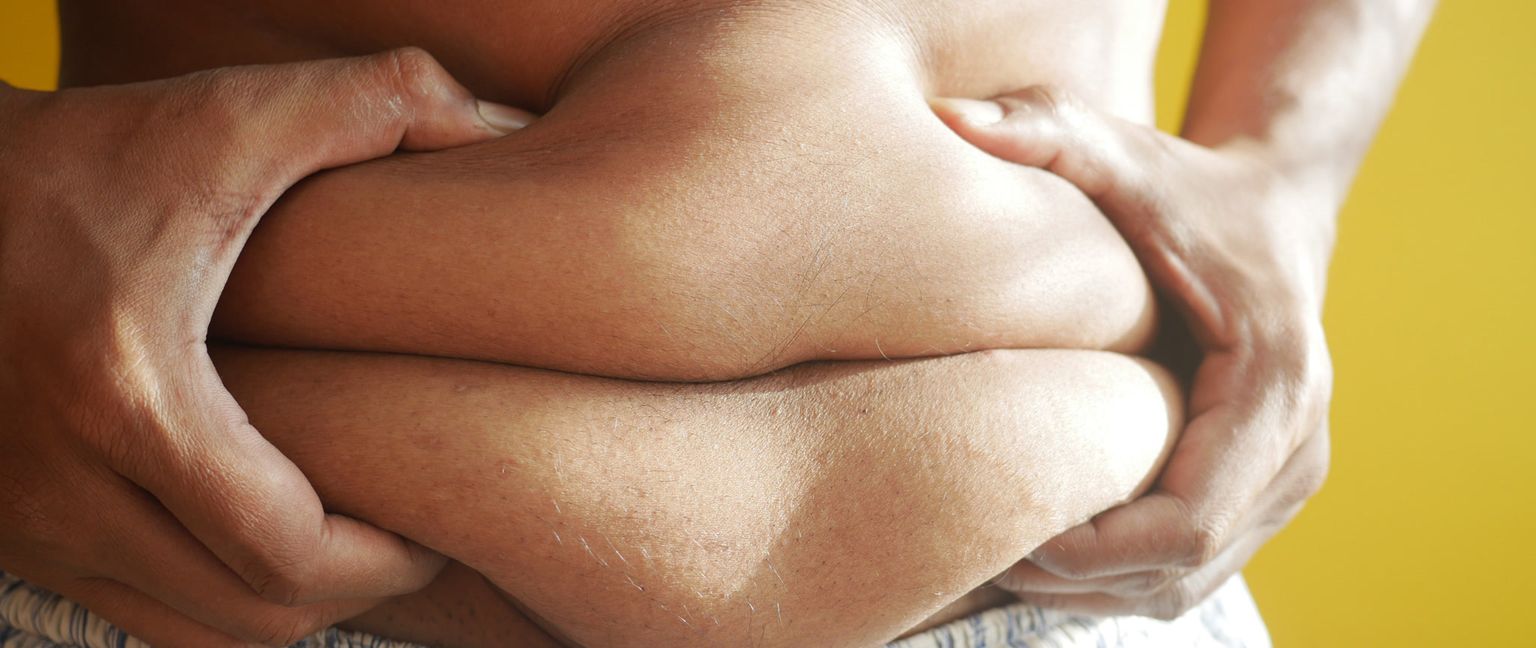 Closeup of a person's hands holding rolls of fat on their stomach.
