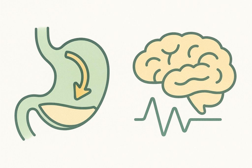 Illustration showing a simplified stomach with an arrow indicating slowed digestion, and a brain with a wavy line representing reduced appetite signals.