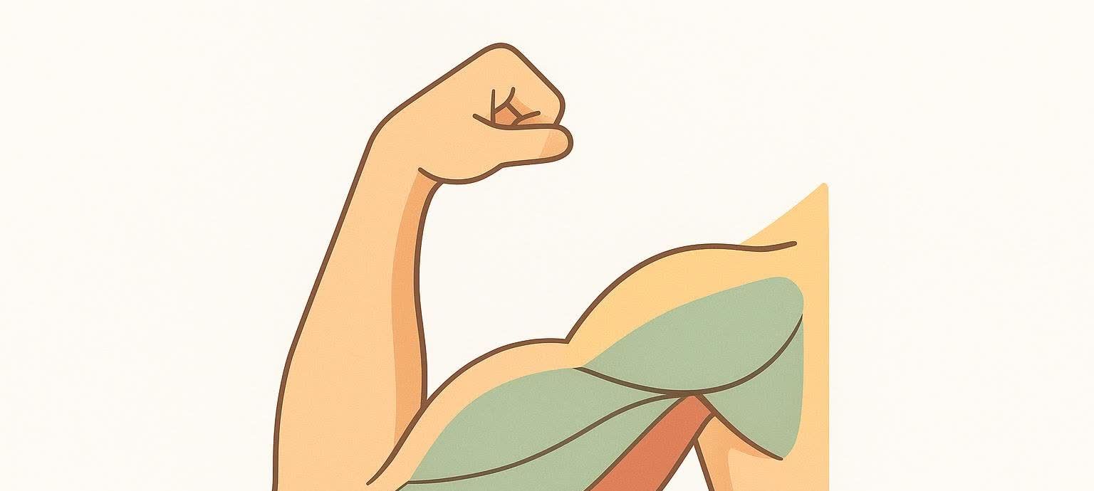 Abstract vector art showing the three sections of the tricep muscle and the bicep on a flexing arm.