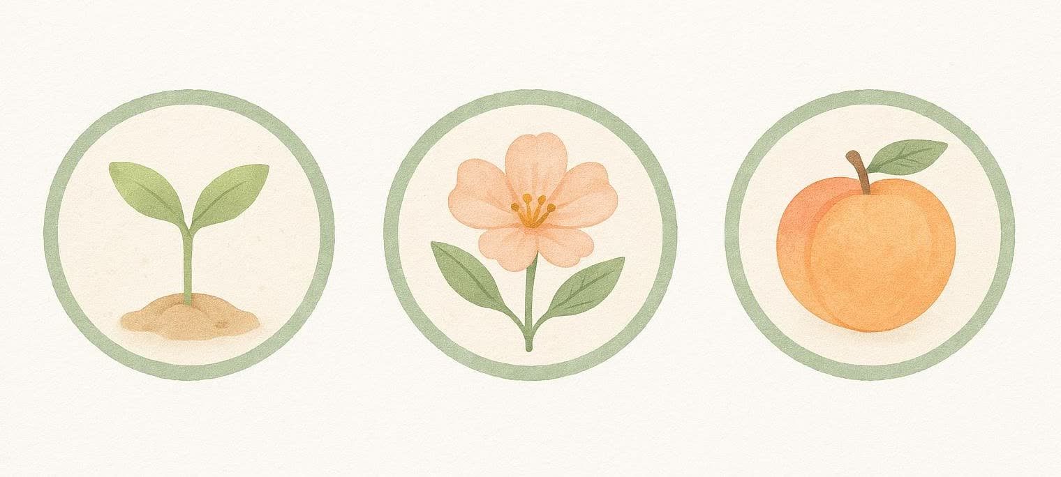 Three icons representing the progression of pregnancy trimesters