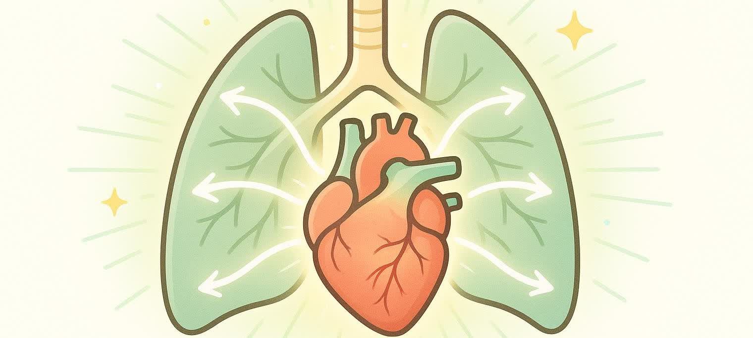 A stylized illustration of a glowing human heart and lungs, with arrows indicating oxygen flow, representing the concept of VO₂ max and oxygen uptake in the respiratory and circulatory systems.