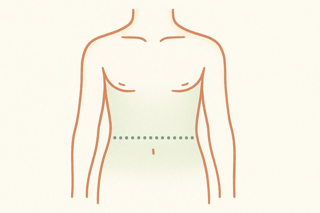 An illustrative diagram of a human torso with a dotted line indicating the correct placement for a waist measurement, just above the belly button. The torso is outlined in light brown on a cream background, with a pale green highlight in the abdominal area.