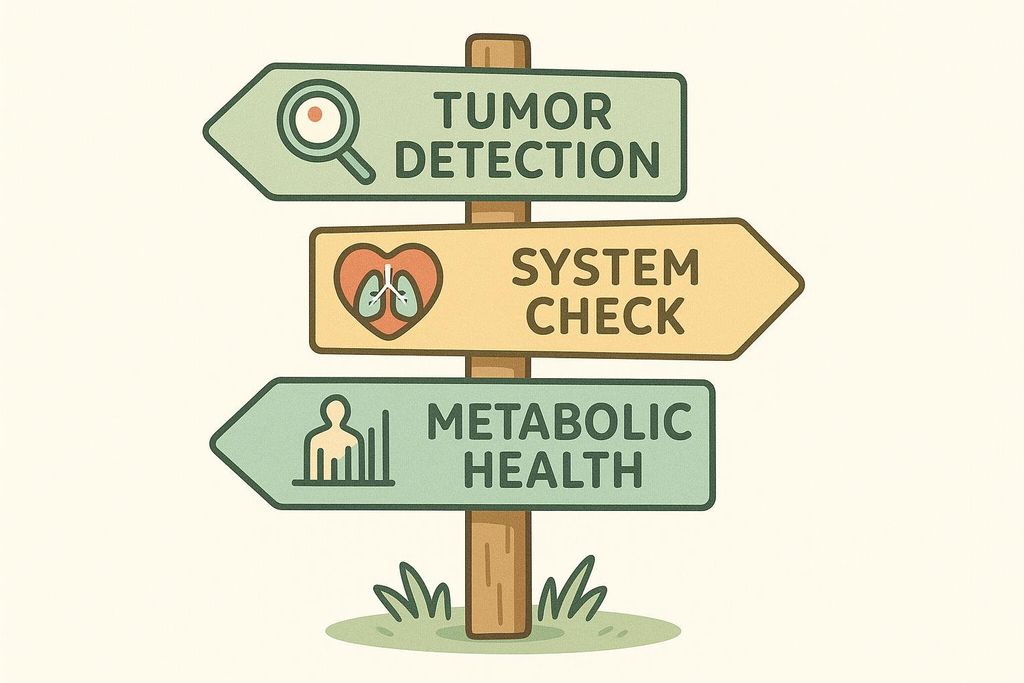 Illustration of a health scan signpost pointing to signs that read Tumor Detection, System Check, and Metabolic Health.