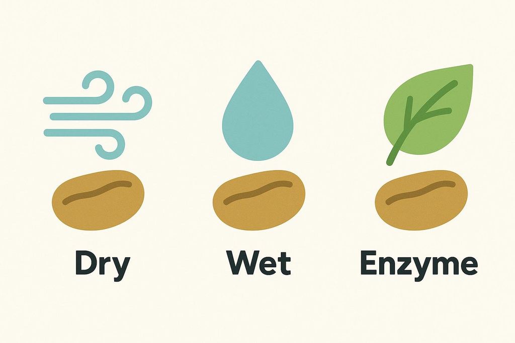 An illustration showing three methods of extraction. From left to right: 'Dry' with a brown bean and blue swirling air above it. 'Wet' with a brown bean and a blue water droplet above it. 'Enzyme' with a brown bean and a green leaf above it.