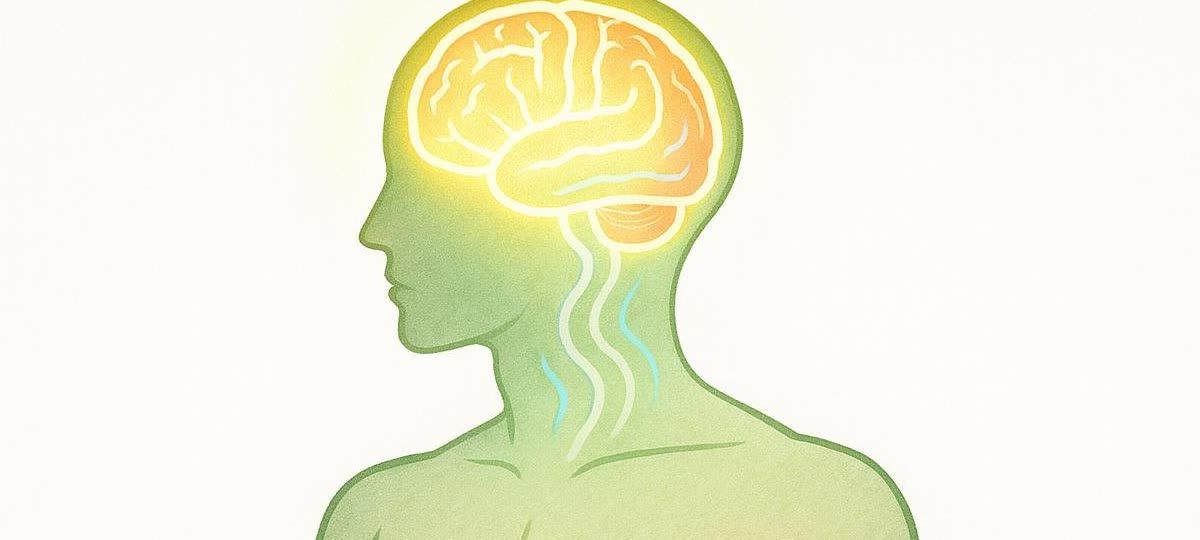 An abstract illustration shows a glowing brain within a head, connected to the rest of the body by wavy lines. The body is green, and the brain glows yellow and orange, with blue lines in the neck.