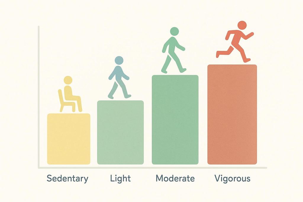 A bar chart titled 'Exercise Intensity Categories' showing four categories: Sedentary, Light, Moderate, and Vigorous. Each category is represented by a colored bar of increasing height with a corresponding icon (person sitting, walking slowly, walking, running).