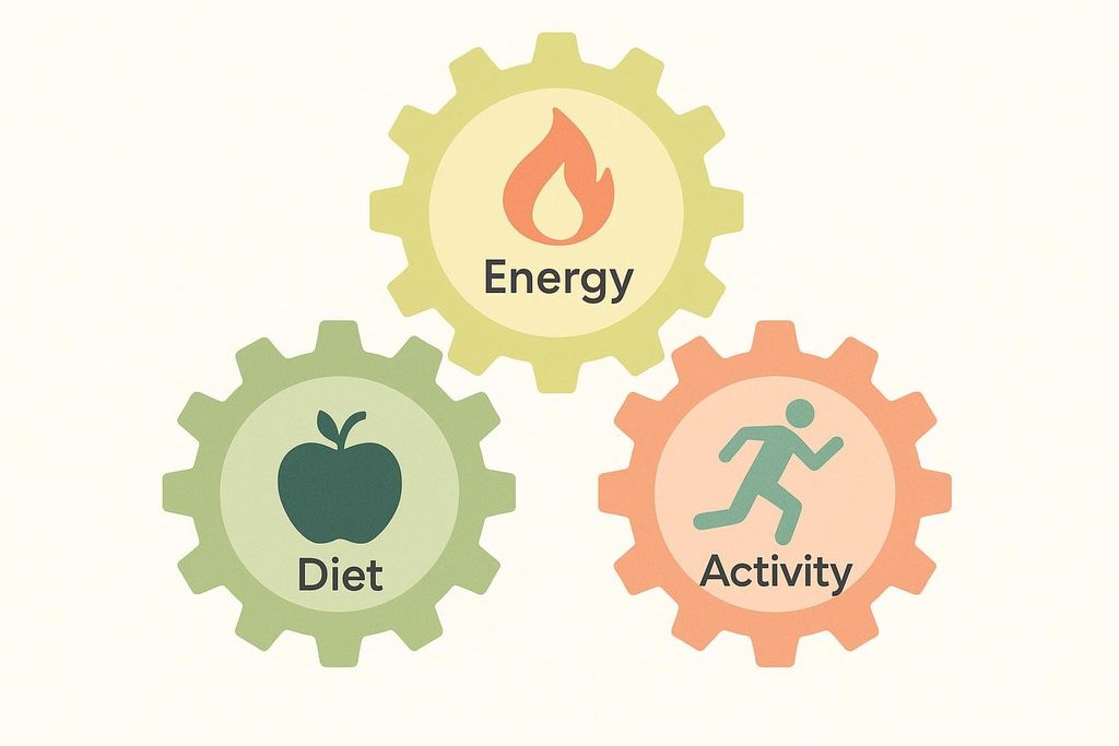 Three interlocking gears labeled Energy, Diet, and Activity