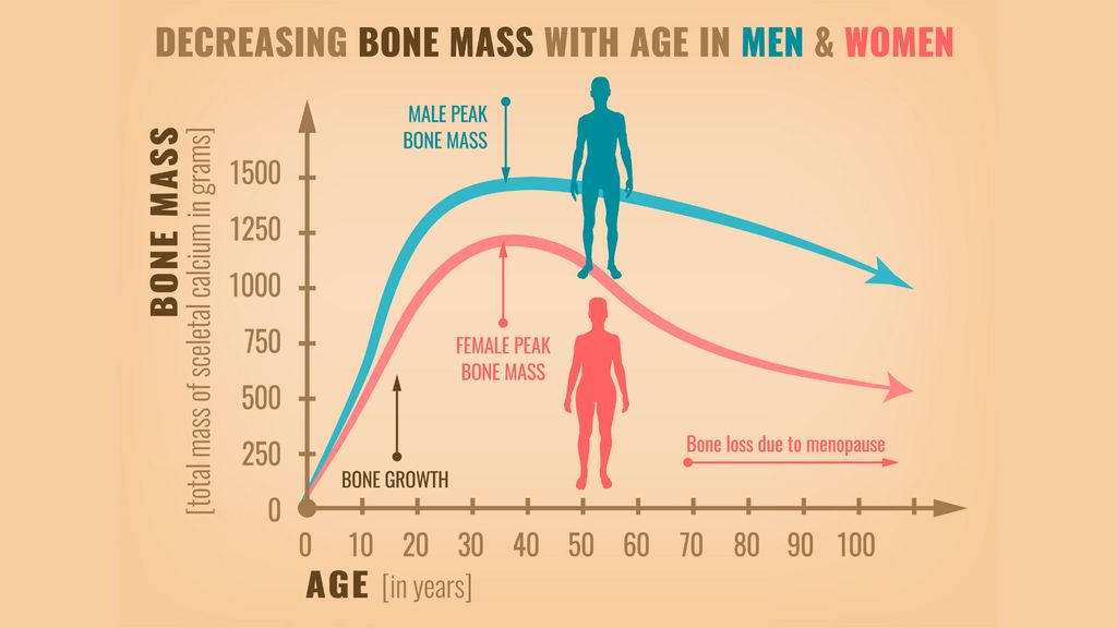 A graph showing decreasing bone mass with age in men and women, including bone growth, peak bone mass, and bone loss due to menopause.