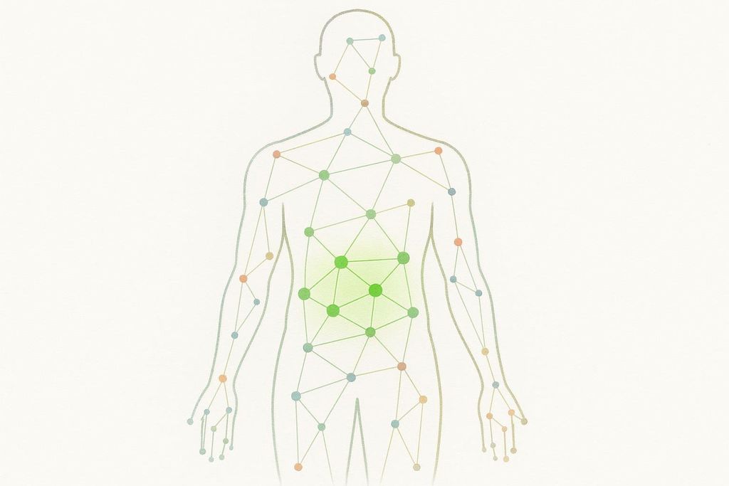 An abstract representation of the human body outlining the torso, head, and limbs. Inside, a network of connected colored dots in various shades of green, blue, and orange represent body composition. A bright green area in the abdominal region highlights healthy changes and a reduction in visceral fat.