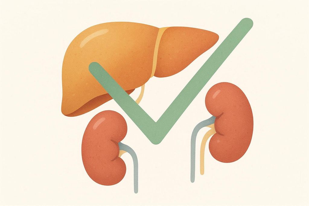 An illustration of an orange liver and two red kidneys, overlaid with a large green checkmark, symbolizing a healthy and naturally detoxing body.