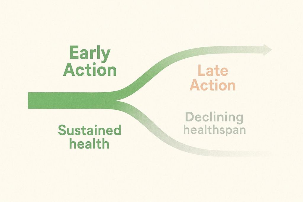 An illustration showing two paths branching from left to right. The top path, labeled 'Early Action', remains green and is labeled 'Sustained health'. The bottom path, labeled 'Late Action', fades to gray and is labeled 'Declining healthspan'.