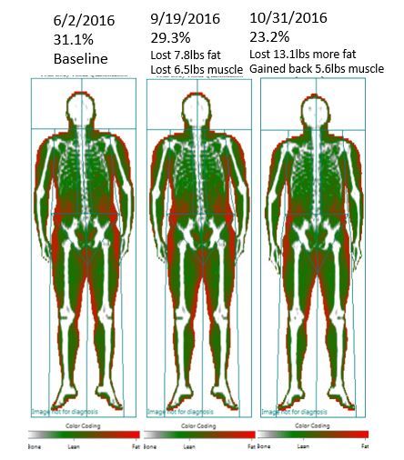Three body composition scans showing changes in fat and muscle mass over several months.