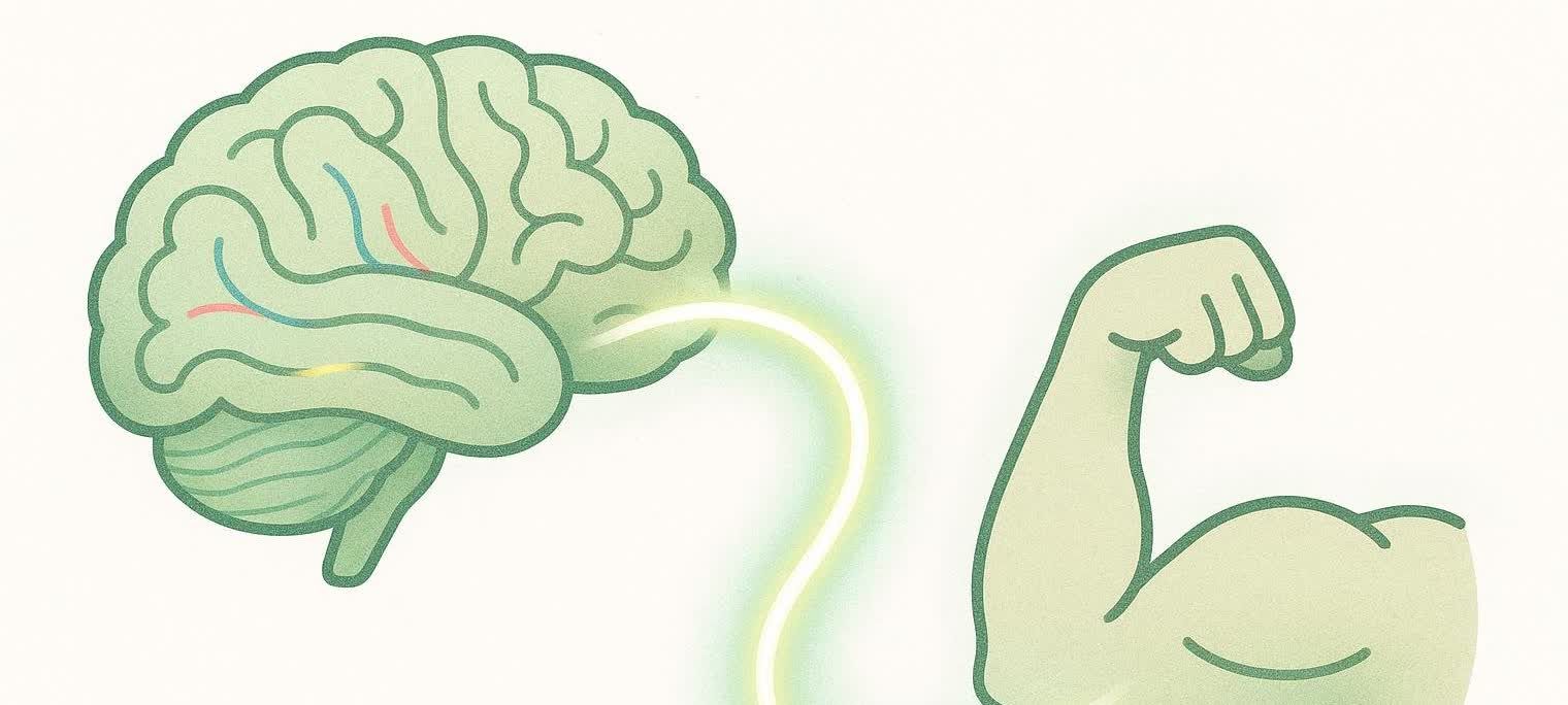 Illustration of a brain transmitting an efficient signal, depicted as a glowing arc, to a flexing bicep muscle. This represents neural adaptation, leading to reduced muscle soreness.