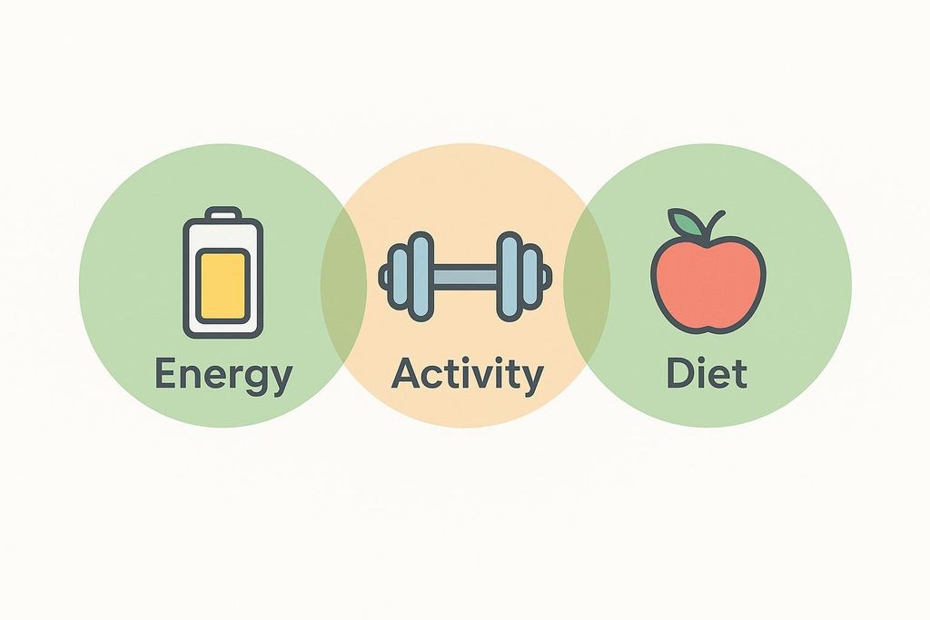Three overlapping circles, each containing an icon and a word. From left to right: a green circle with a battery icon and the word 'Energy', a yellow-orange circle with a dumbbell icon and the word 'Activity', and another green circle with an apple icon and the word 'Diet'. The circles represent the interconnectedness of these three elements.