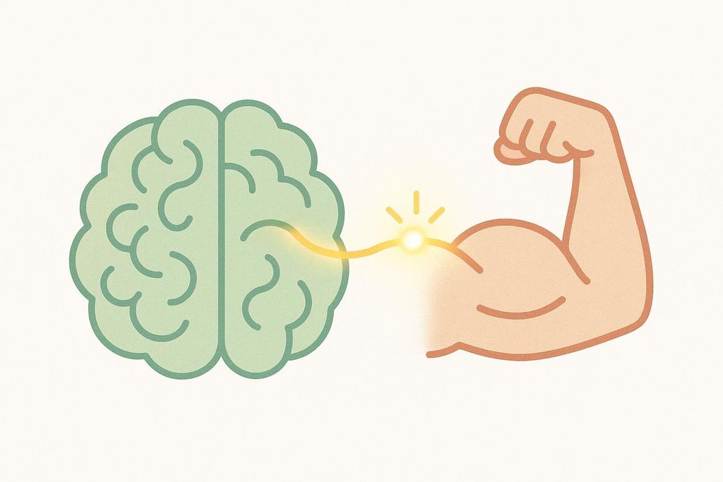 Illustration of a brain sending a signal to a muscle, representing neuromuscular adaptation in early strength training.